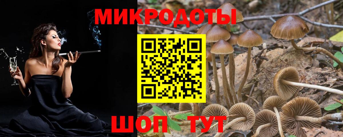 Галлюциногенные грибы Cubensis Каменск-Уральский